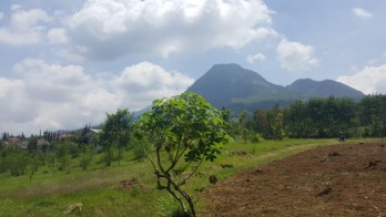 Tanah Luas View Menawan Cocok Untuk Hotel Wisata Villa Kota Batu
