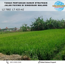 Tanah subur di tunjungtirto Singosari Malang