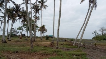 Dijual tanah pinggir pantai Penyaringan Mendoyo Jembrana Bali