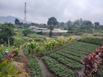 TANAH KEBUN SUBUR HARGA BAGUS DI BUMIAJI KOTA BATU.