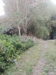 Tanah 2000 m2 di Mondoroko Singosari Malang