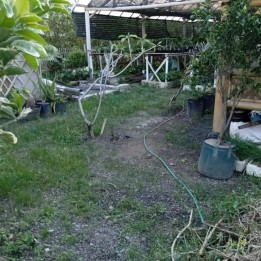 Tanah Kebun Subur Untuk Tanaman Bunga Luas Termurah Di Kota Batu