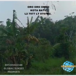 Tanah Luas Akses Super Mudah View Gunung Untuk