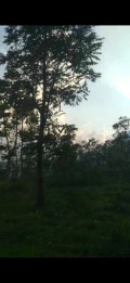 Tanah Luas Strategis Cocok Untuk Cluster di Oro-Oro Ombo Kota Batu