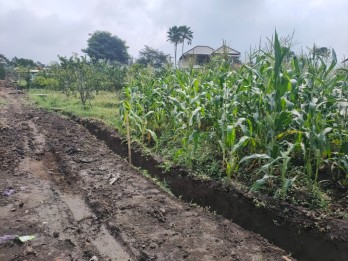 Tanah Luas Strategis Harga Murah Tanaman Subur Di Bumiaji Batu