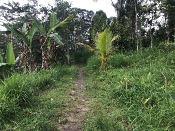 Tanah luas 6,5 hektar, SHM, Petang, Badung, Bali