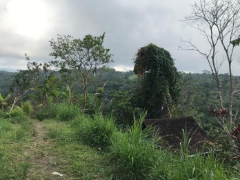 Tanah luas 6,5 hektar, SHM, Petang, Badung, Bali