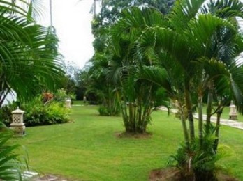 Tanah luas 6633m2, SHM, di Jalan Bidadari, Seminyak, Bali