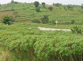 Dijual Tanah di Desa Tangkil, Sentul, Jawa Barat