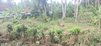 Dijual tanah 1,7 hektar jl Denpasar-Gilimanuk Melaya Jembrana Bali