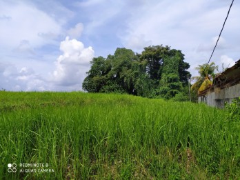 Disewakan tanah 2825 m2 di Kaba - Kaba Tabanan dkt Seseh,Munggu,Canggu Bali