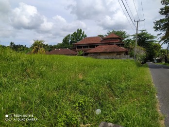 Disewakan tanah 2825 m2 di Kaba - Kaba Tabanan dkt Seseh,Munggu,Canggu Bali