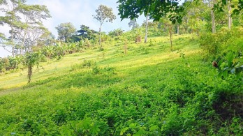 Jual BU Tanah 9.286 m2 di Campang Raya Bandar Lampung