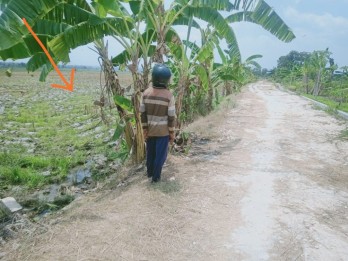 Jual Tanah 2.000 m2 di Bojonegoro Jawa Timur Dekat RSUD Dr.Sosodoro