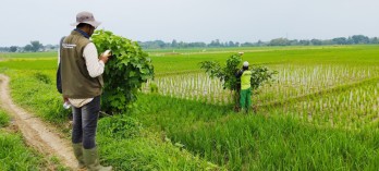 Jual Tanah 2.212 m2 di Jatiwangi Majalengka Dekat Pasar Ciborelang