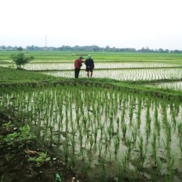 Jual Tanah 2.212 m2 di Jatiwangi Majalengka Dekat Pasar Ciborelang