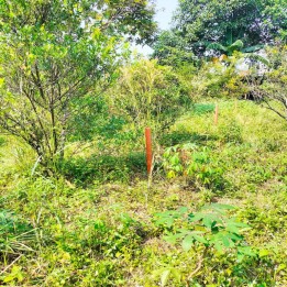 Jual Tanah Kavling 307 m2 di Bojongsari Kota Depok Dekat RS Citra Arafiq