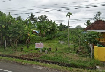 Jual Tanah Shm Strategis di Raya Denpasar Gilimanuk Jembrana