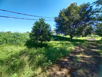 KAVLING HARGA BAWAH PASARAN LEMBAH PADI TELAGA KAHURIPAN