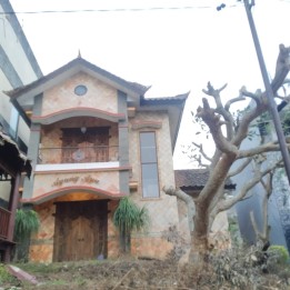 Rumah villa Jawa estetik investasi tinggi di Kota