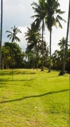 TANAH LOS PANTAI PREMIUM JEMBRANA BALI