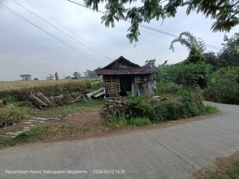 TANAH SAWAH SUBUR HARGA ISTIMEWA DI PACET KABUPATEN MOJOKERTO.