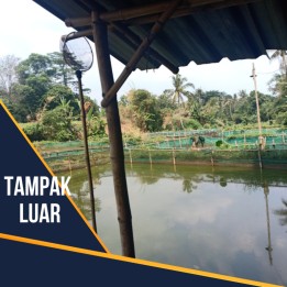 DIJUAL TANAH EMPANG DUREN