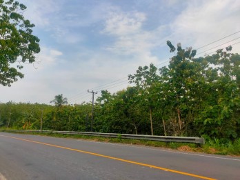 Dijual Tanah di Jl. Lintas Sumatera, Sukabanjar, Kec. Sidomulyo, Talang Bar