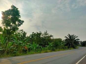 Dijual Tanah di Jl. Lintas Sumatera, Sukabanjar, Kec. Sidomulyo, Talang Bar