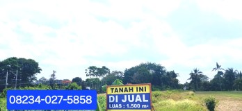 Dijual tanah 1500 m2 di Mengwi Badung Bali dkt