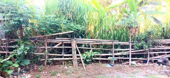 Dijual tanah 750 m2 jl Kargo dkt Gatsu Barat Denpasar Bali