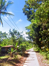 Dijual tanah hook pinggir jalan murah strategis dekat tempat wisata anyer s