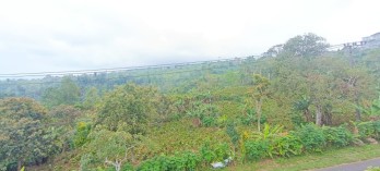 Dijual tanah view Danau Buyan 8550 m2 Wanagiri Sukasada Buleleng Bali