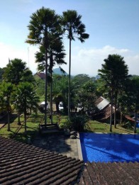 Hotel Aesthetic Mewah View Terkeren Potensial Area Wisata Kota Batu