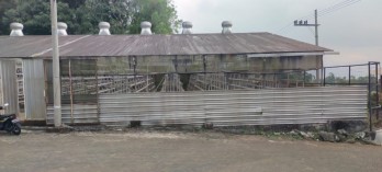 Tanah Greenhouse Luas Siap Beroperasi di Pujon Malang