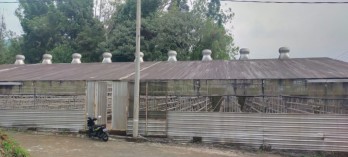 Tanah Greenhouse Luas Siap Beroperasi di Pujon Malang
