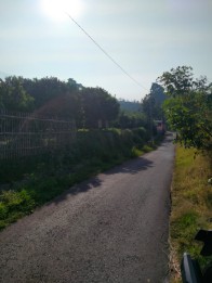 Tanah Nego Kebun Jeruk Produktif Dataran Tinggi Sejuk Junggo Batu