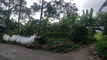 Dijual Tanah di Jl. Gembor, Pasar Kemis, Kec. Periuk, Kota Tangerang, Bante