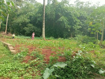 Jual Tanah Curug Serang