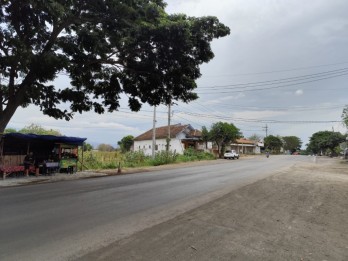 TANAH KEBUN LUAS PINGGIR JALAN RAYA HARGA BAGUSJ DI PAITON PROBOLINGGO.