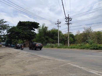 TANAH KEBUN LUAS PINGGIR JALAN RAYA HARGA BAGUSJ DI PAITON PROBOLINGGO.
