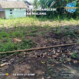 TANAH KEBUN SUBUR HARGA BAIK DI GONDANGLEGI