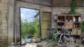 TANAH LUAS DAN MURAH DEKAT DENGAN JALAN UTAMA BANTUL