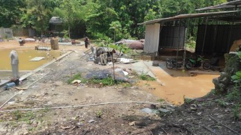 TANAH LUAS DAN MURAH DEKAT DENGAN JALAN UTAMA BANTUL