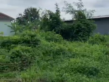 TANAH LUAS DI MAGELANG 4 MENIT DARI SMA TARUNA