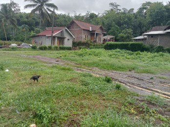 TANAH MURAH DI SALAMAN, MAGELANG DEKAT CANDI BOROBUDUR