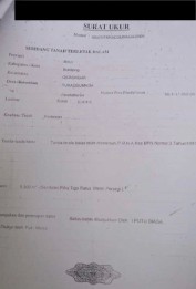 Tanah Kawasan Wisata Cocok Utk Vila Kantor Atau Perum Di Buleleng Bali
