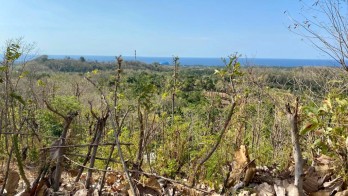 Tanah Kawasan Wisata Cocok Utk Vila Kantor Atau Perum Di Buleleng Bali