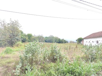 Tanah Strategis Poros Jalan Surbaya Dan Situbondo Super Luas Di Paiton