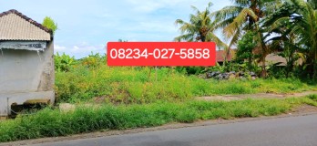 Disewakan tanah 4 are di Marga Tabanan Bali